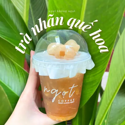 Hình ảnh Trà Đen Nhãn Quế Hoa - 500ml