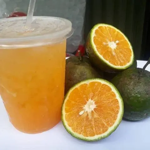 Hình ảnh cam vắt ly khủng lồ 