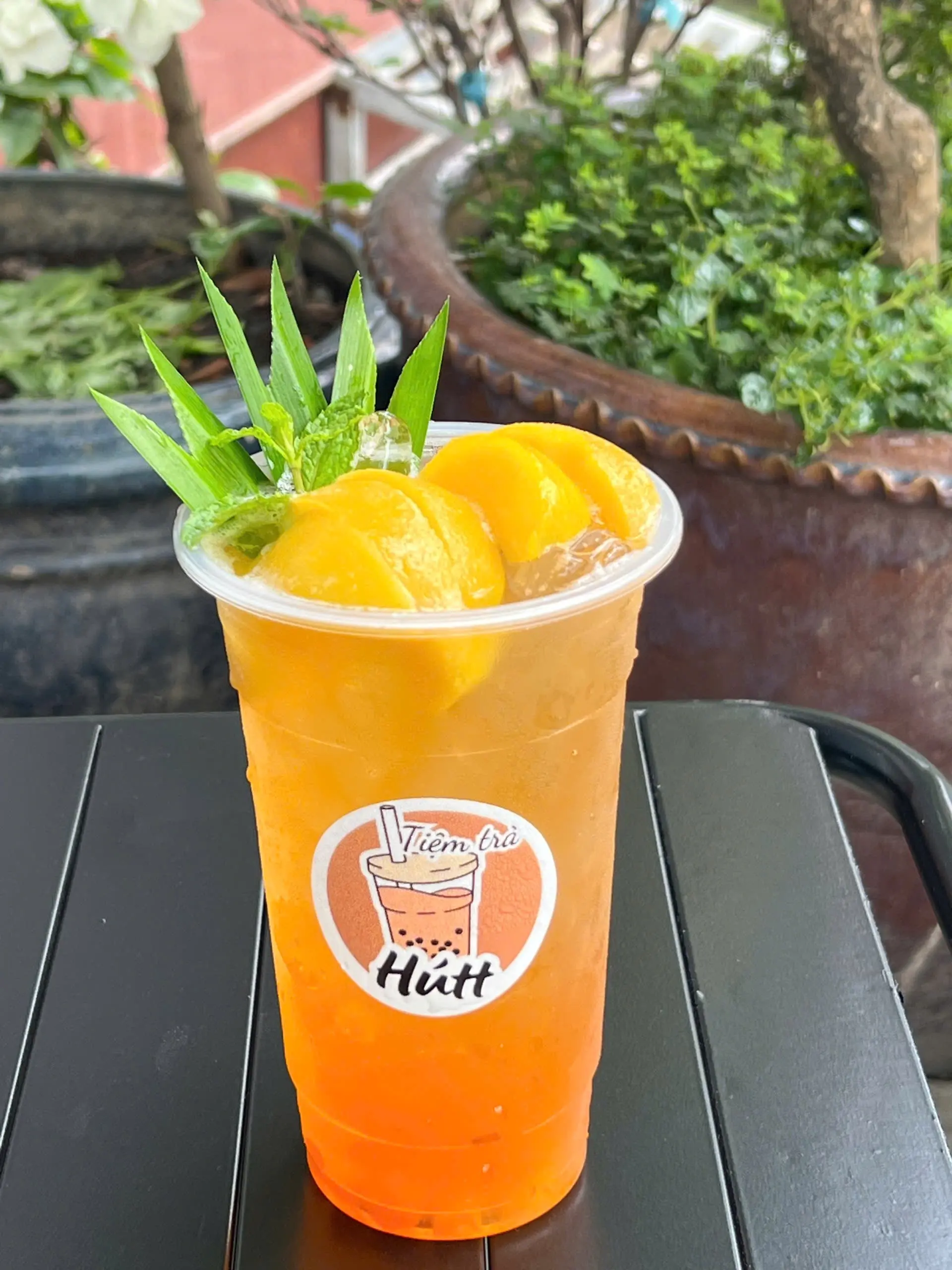 Hình ảnh Trà đào