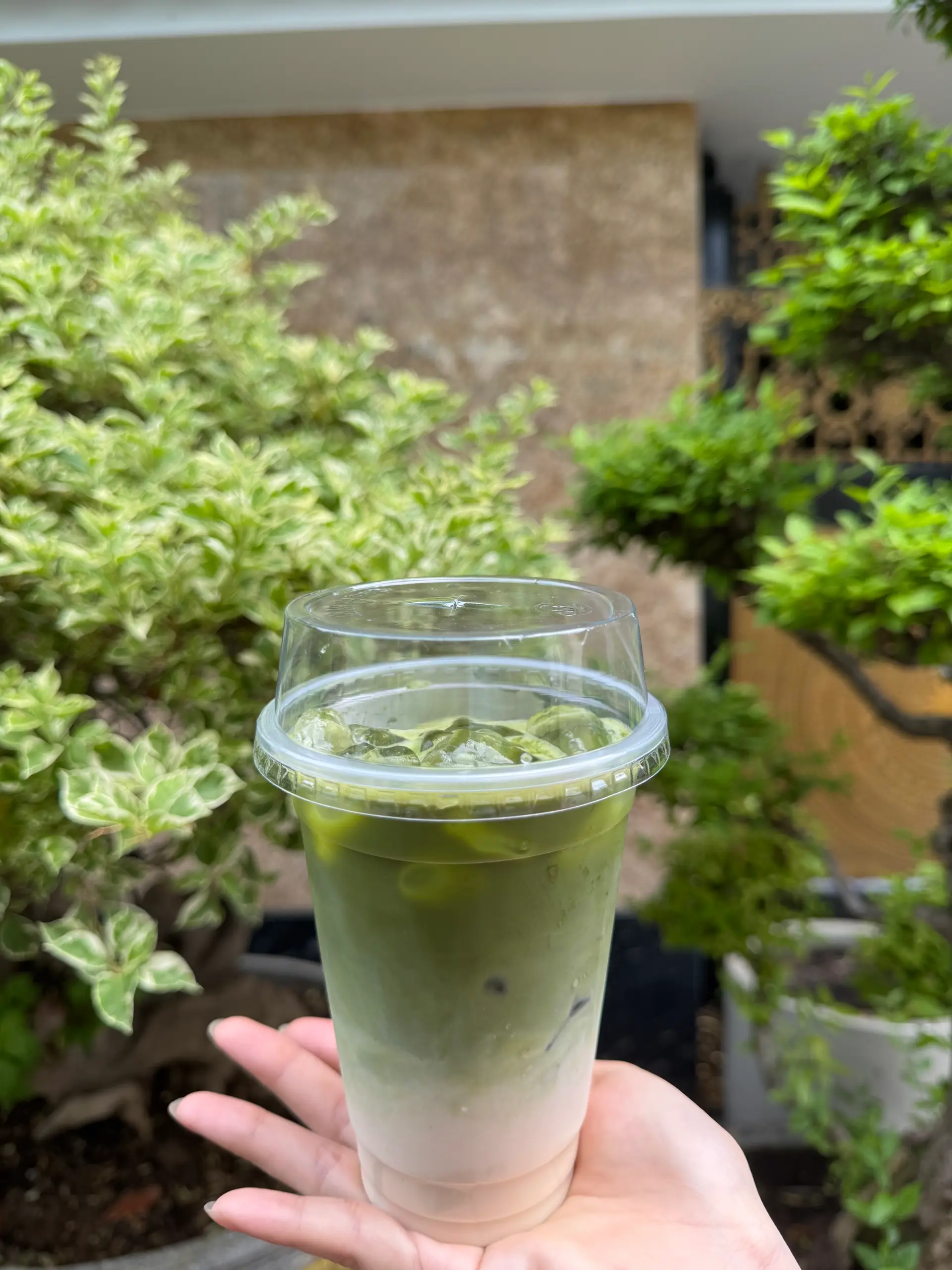 Hình ảnh Matcha latte sữa tươi