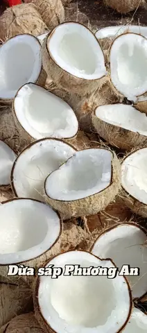 Hình ảnh Dừa sáp loại lỏng ngon trái lớn 1,3kg bớt vỏ trở lên (bao ăn 2 ngày khi nhận)