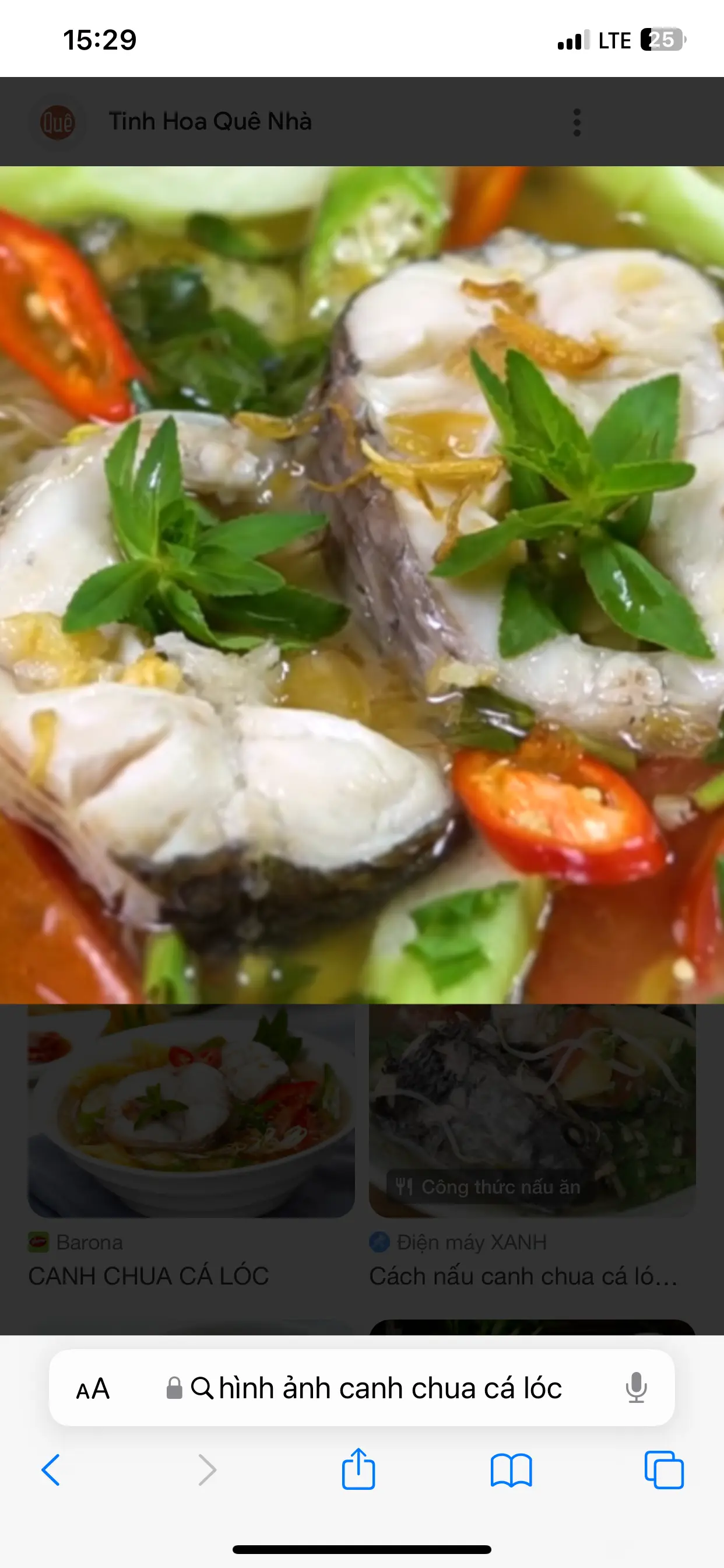 Hình ảnh canh chua cá lóc