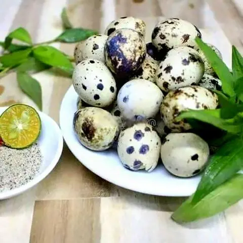 Hình ảnh Cút lộn