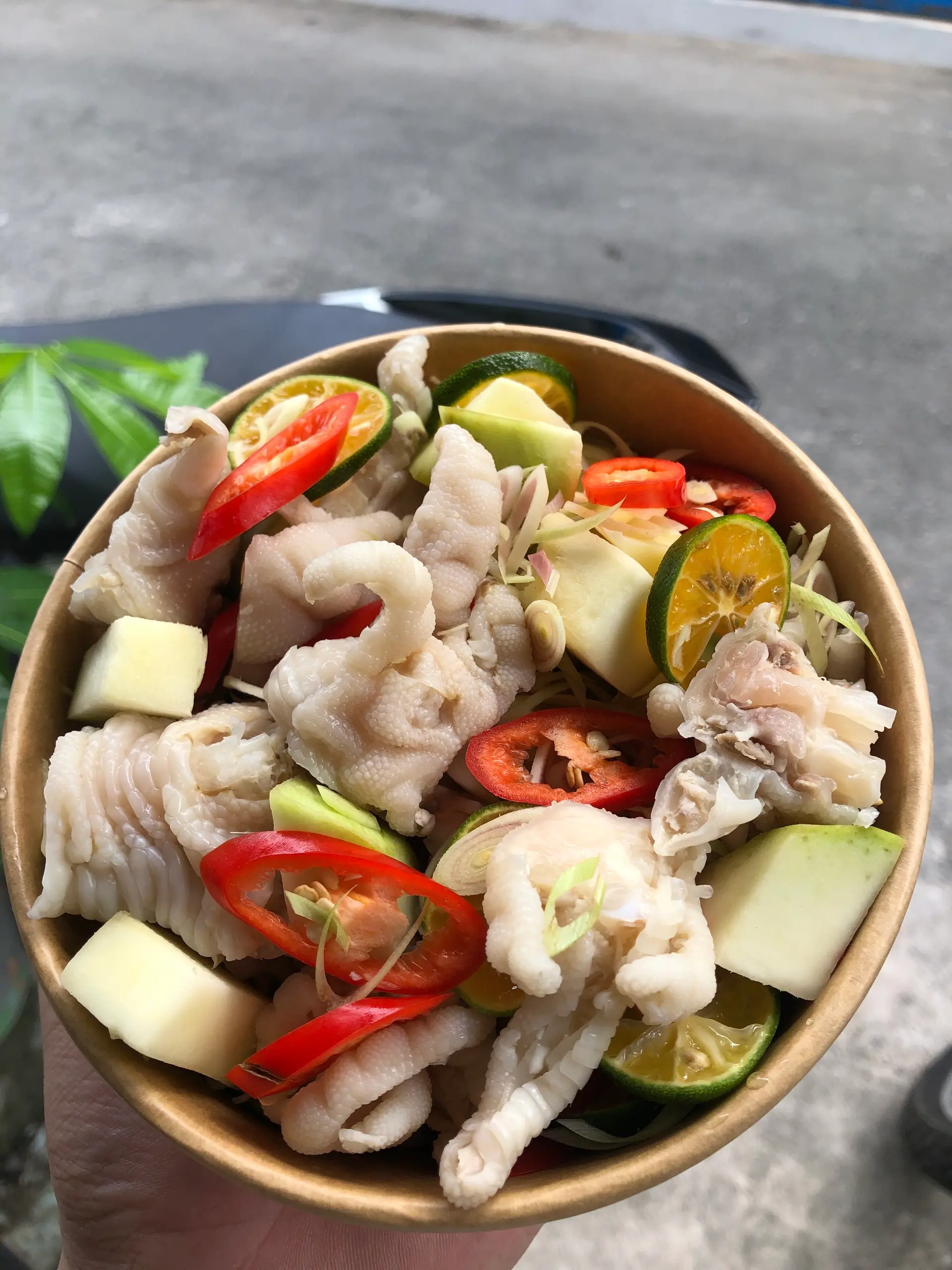 Hình ảnh chân gà xã tắt