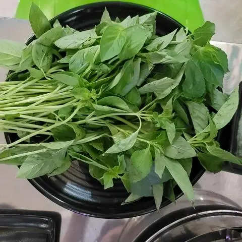 Hình ảnh Lá É Thêm
