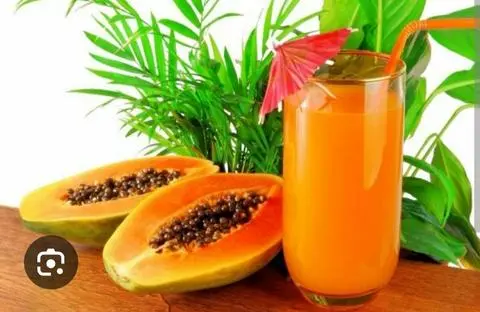 Hình ảnh sinh to  đu  đủ 