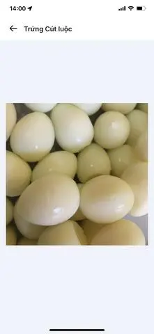 Hình ảnh 5 TRỨNG CÚT LUỘC 