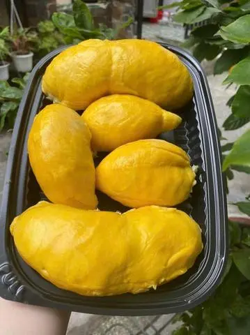 Hình ảnh Sầu riêng Ri6 1kg