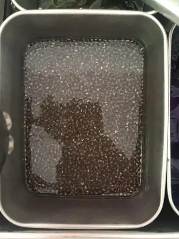Hình ảnh hạt chia Úc 