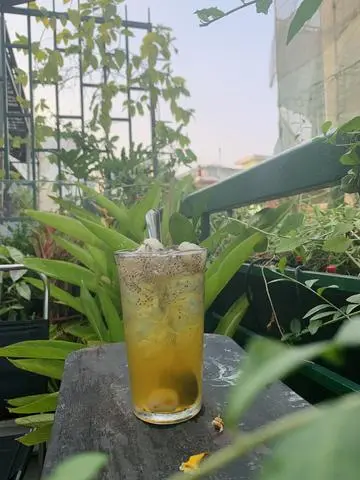 Hình ảnh Jasmine - longan