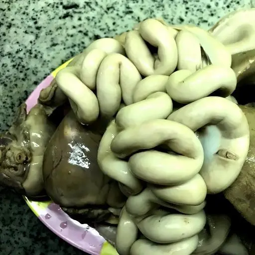 Hình ảnh Lòng thập cẩm (1/2 kg)