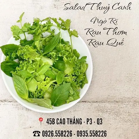 Hình ảnh Rau Salad Thuỷ Canh