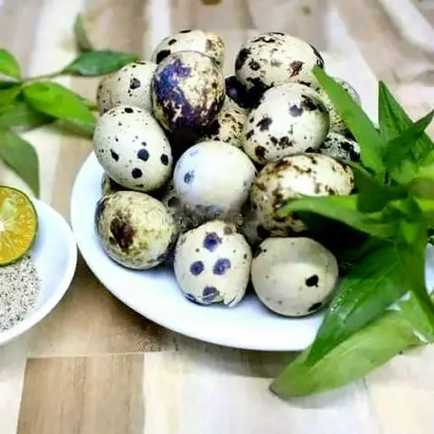 Hình ảnh Cút Lộn luộc 1 chục