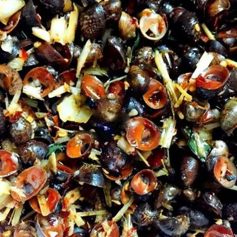 Hình ảnh Ốc dừa xào cay