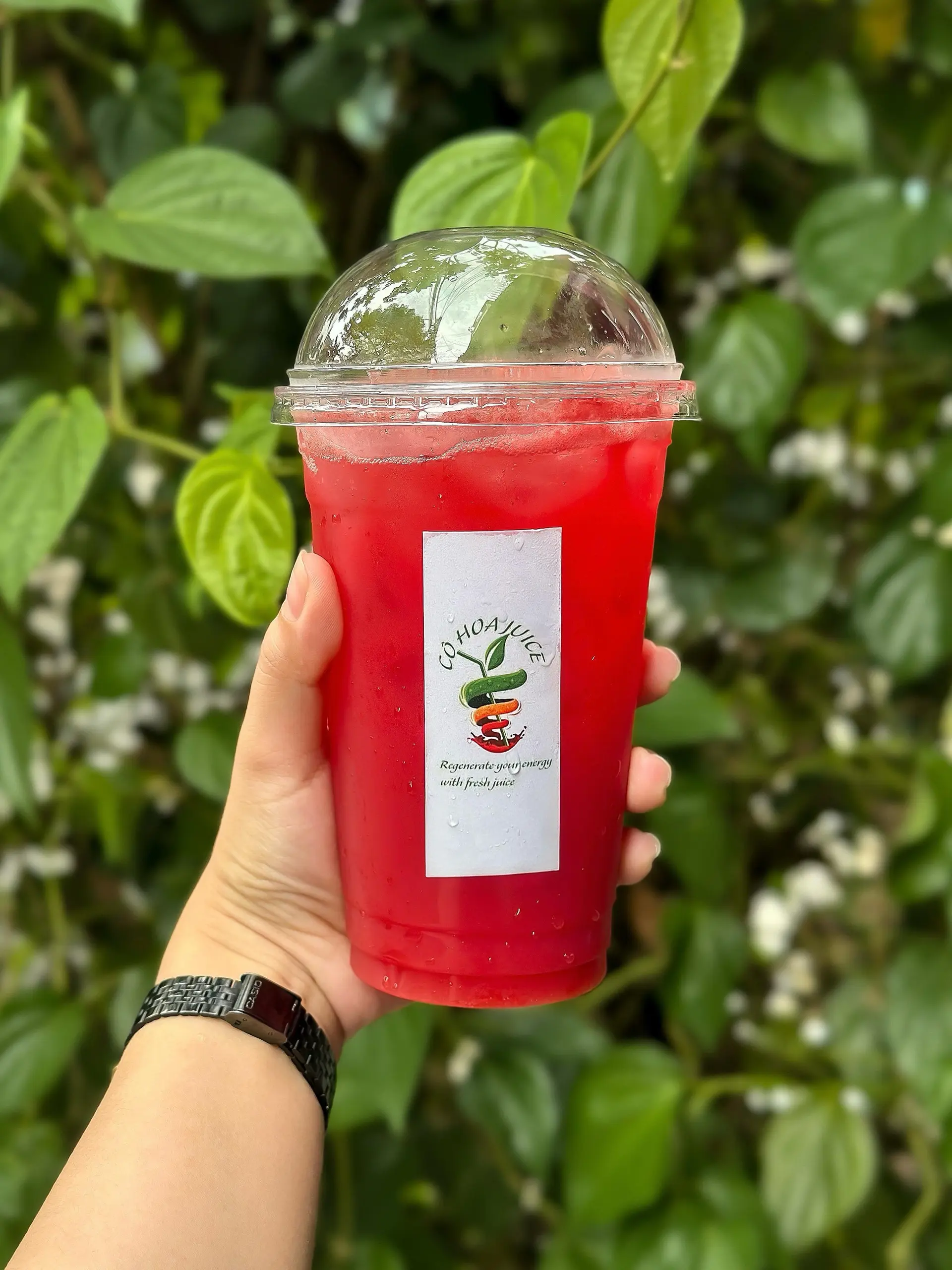 Hình ảnh Nước Ép Dưa Hấu  ( mix 1 loại) 