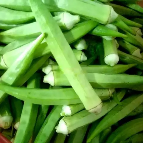 Hình ảnh Đậu bắp