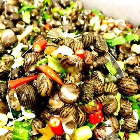 Hình ảnh Ốc dừa