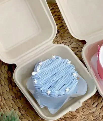 Hình ảnh Bánh kem bento xanh pastel