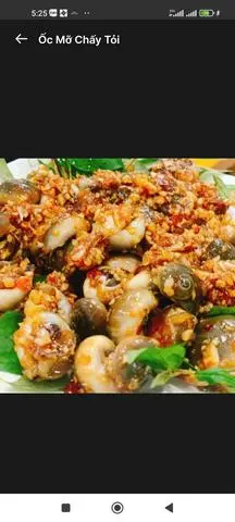 Hình ảnh ỐC MỠ CHẤY TỎI