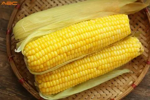 Hình ảnh Bắp Mỹ Loại 1 Đã Luộc Chín (Trái Lớn)