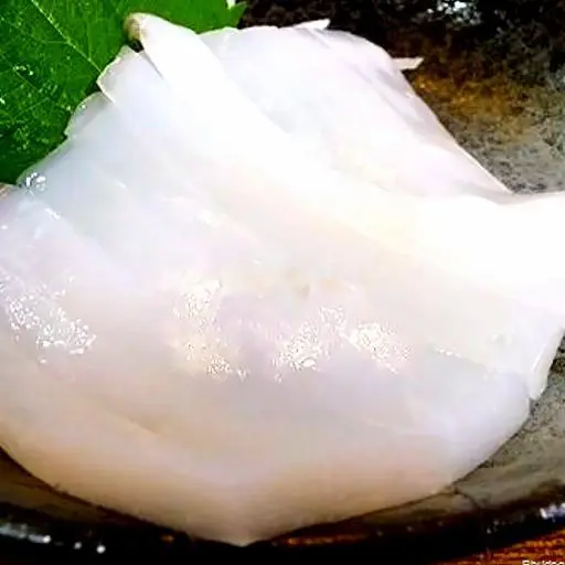 Hình ảnh SS5-Mực sống