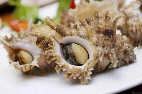 Hình ảnh ốc gai nướng muối ớt 
