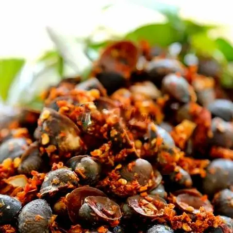 Hình ảnh Ốc dừa rang mắm