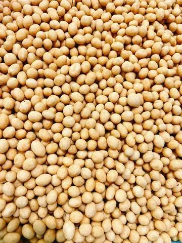 Hình ảnh Đậu phộng da cá nước cốt dừa