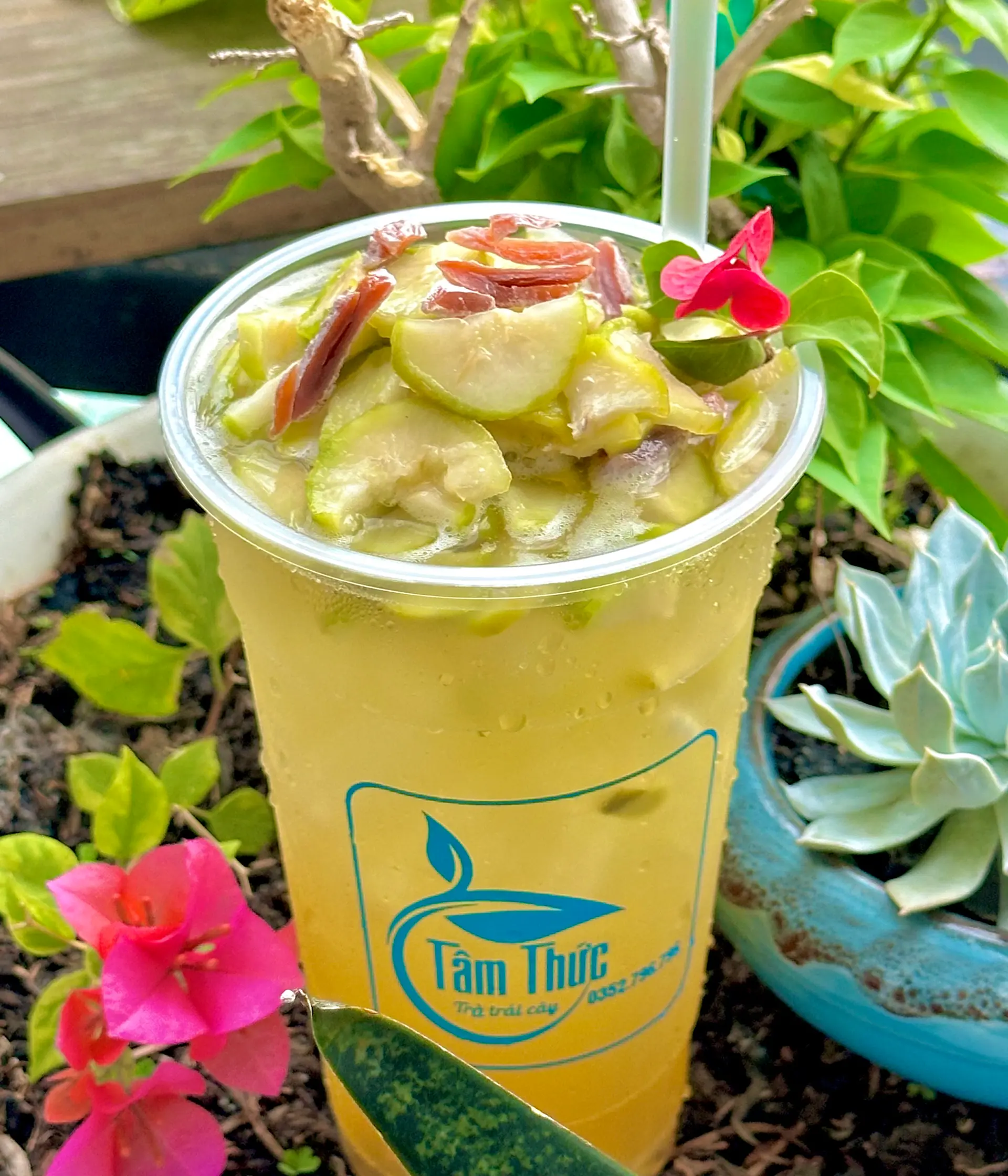 Hình ảnh Trà Cóc xí muội
