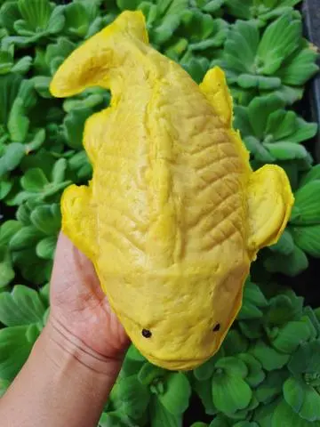 Hình ảnh Chả cá chép - con 500gr