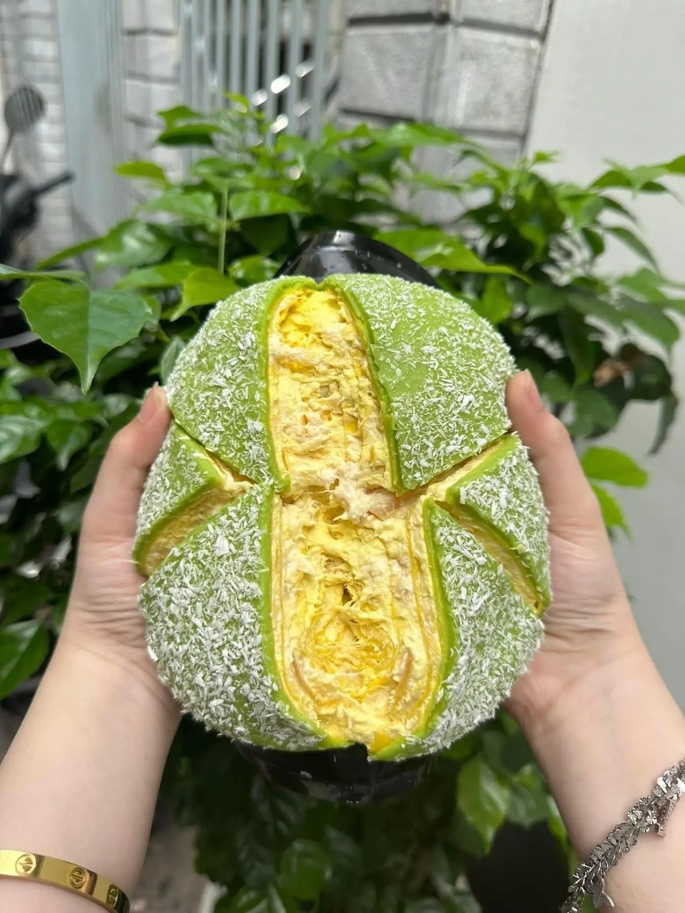 Hình ảnh Phú Sĩ Lá Dứa 12cm