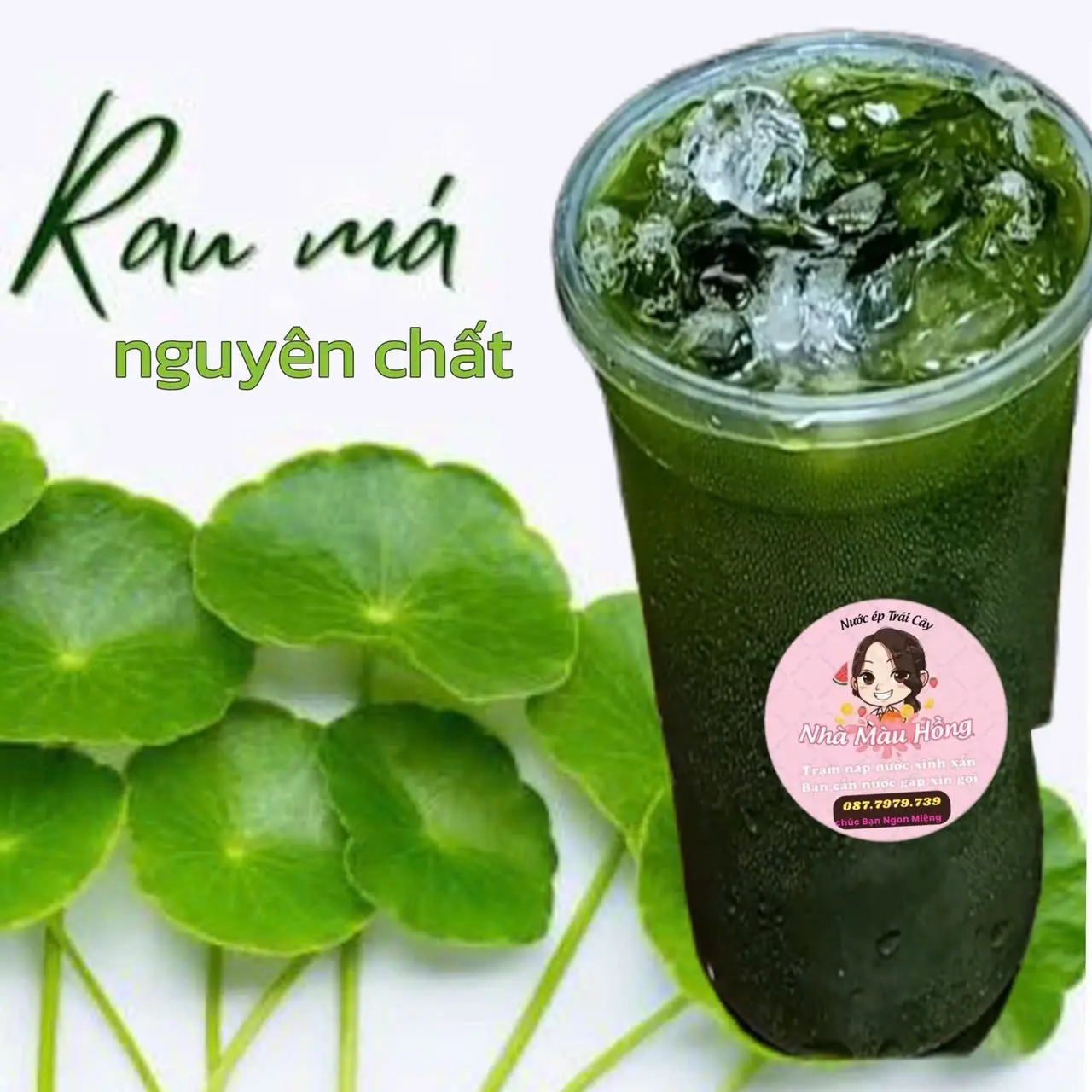 Hình ảnh Rau má nguyên chất khổng lồ