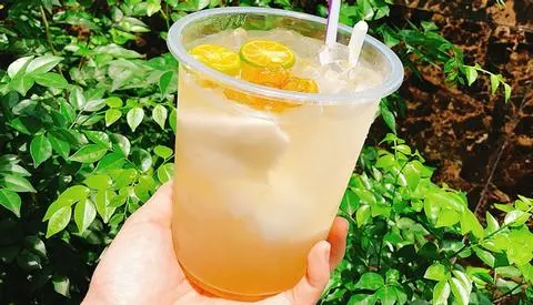 Hình ảnh Dừa tắc đá đường -1 trái/Coconut Water Kumquat - 1 Coconut
