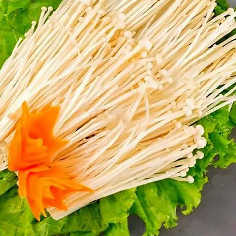 Hình ảnh Nấm kim châm 