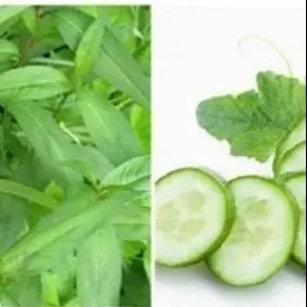 Hình ảnh combo muối ớt rau răm dua leo 