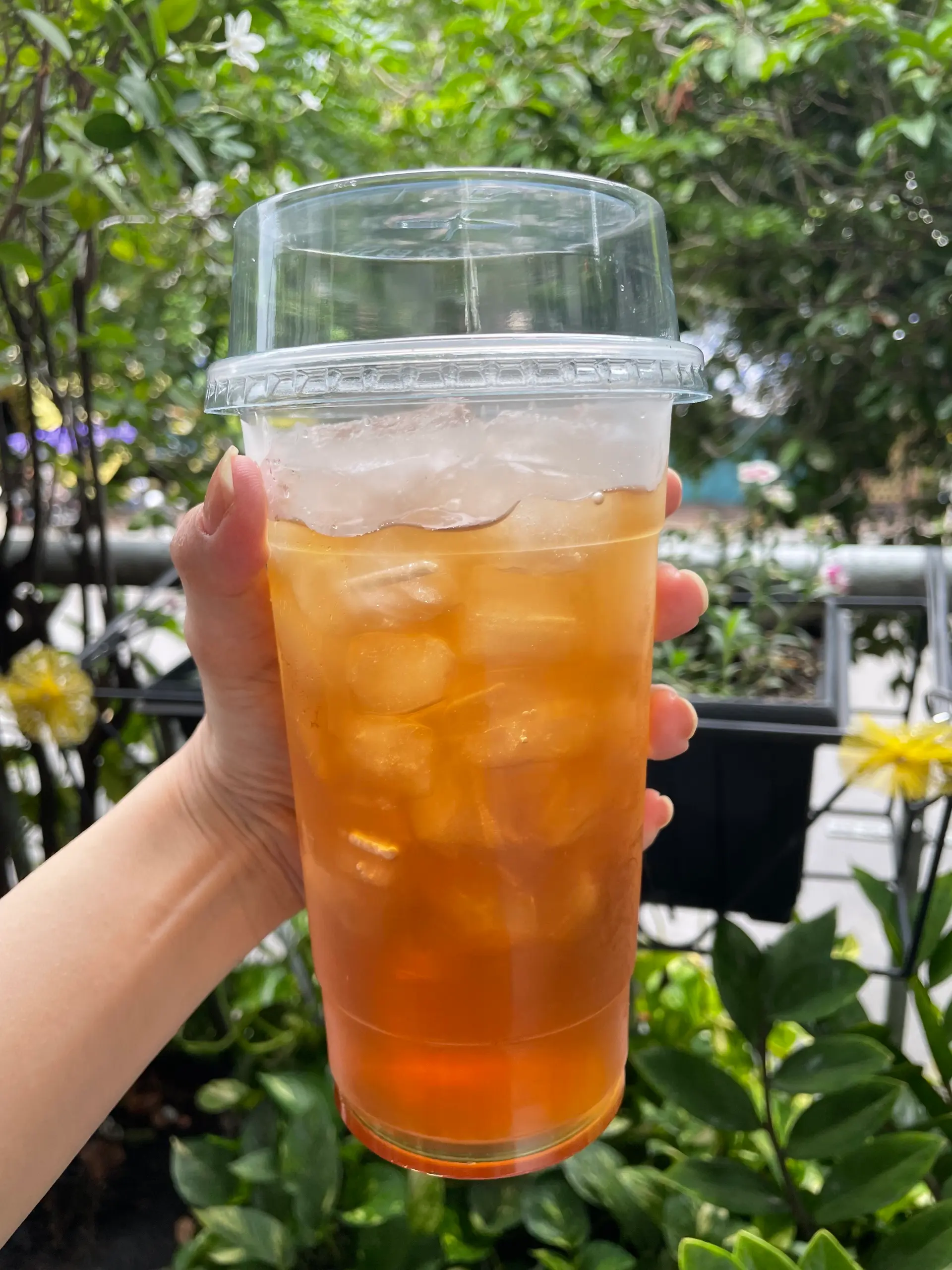Hình ảnh Trà chanh hương lài