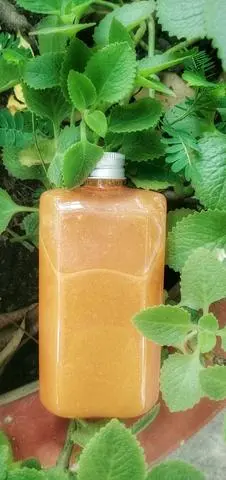 Hình ảnh Detox Cam