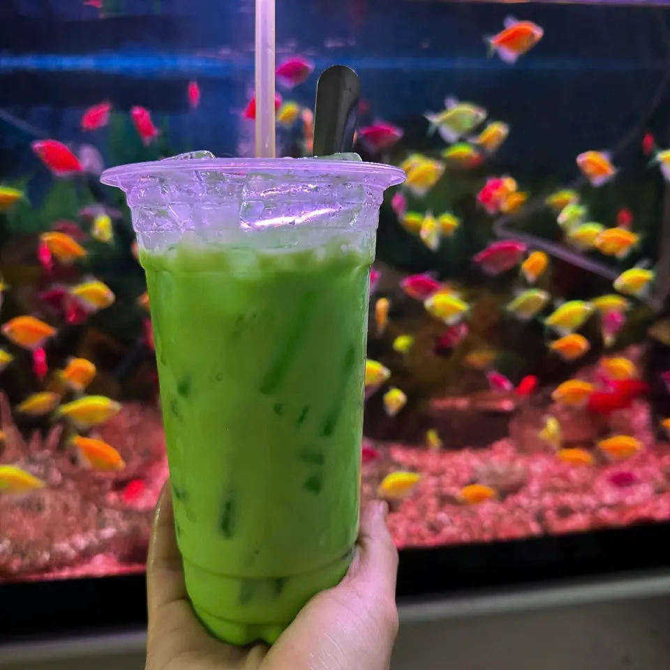 Hình ảnh sâm dứa sữa 