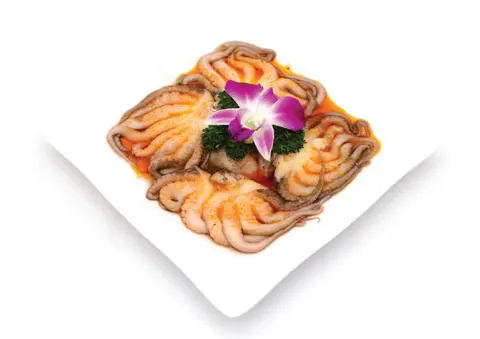 Hình ảnh Bạch Tuột Lớn