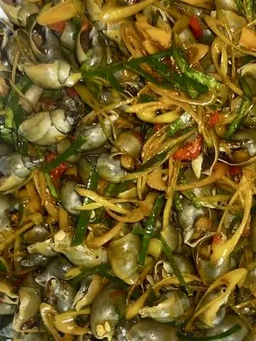 Hình ảnh Ốc Cà Na Xào Sả Ớt Phần Nhỏ 