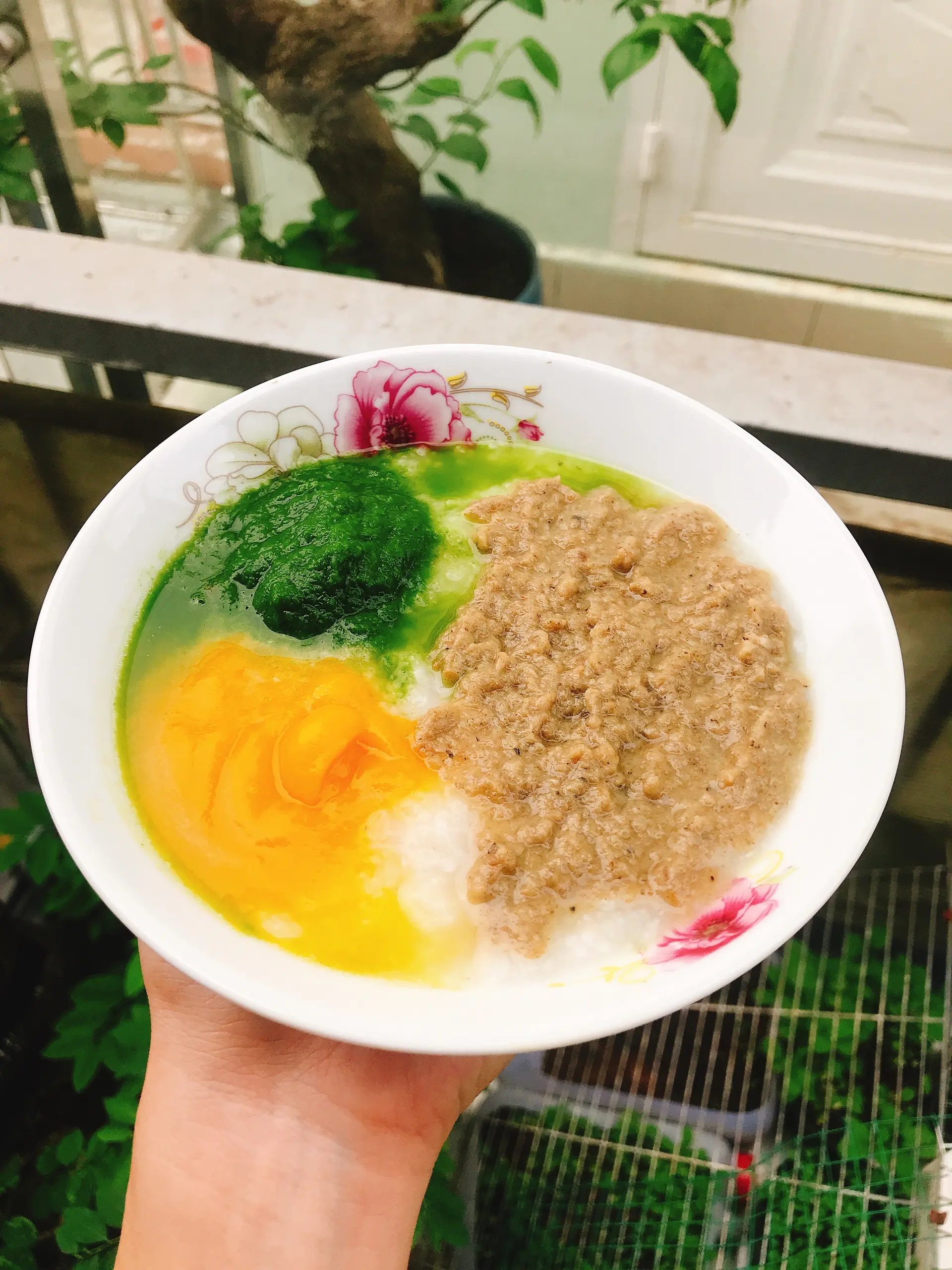 Hình ảnh Cháo Bồ Câu - nhỏ