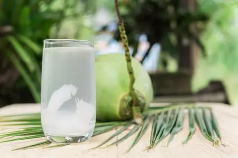 Hình ảnh Dừa Trái