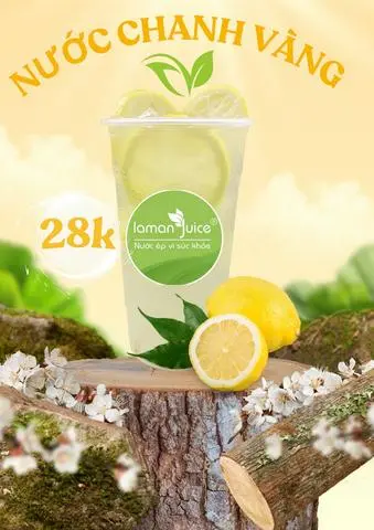 Hình ảnh  Nước Chanh Tươi (700ML) - T12