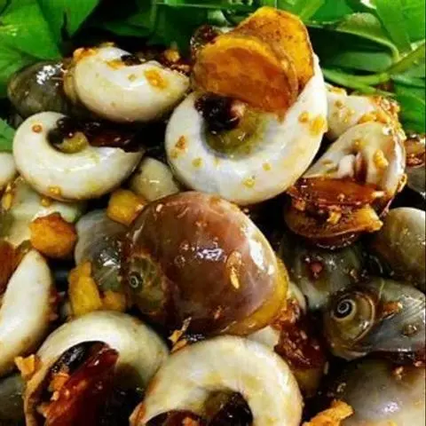 Hình ảnh ỐC MỞ ME