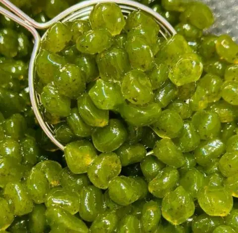 Hình ảnh Trân Châu ÔLong Giòn