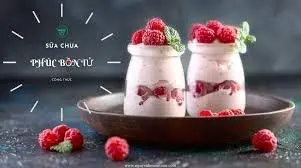 Hình ảnh Sữa chua phúc bồn tử