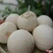 Hình ảnh Dừa 