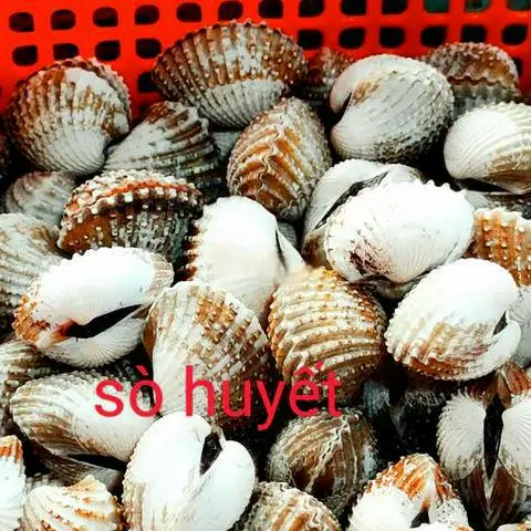 Hình ảnh Sò huyết xào tỏi