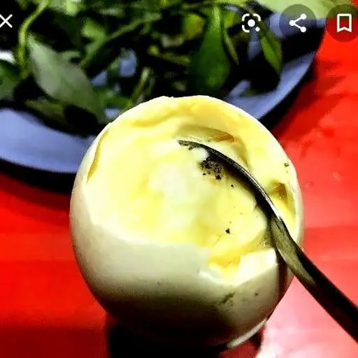 Hình ảnh Hột vịt Dữa - 1 Quả