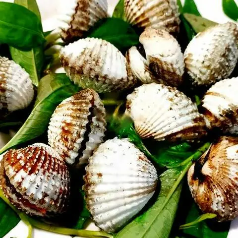 Hình ảnh Sò huyết nướng mọi